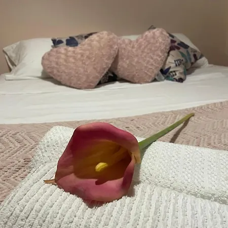 Palast Stieg Homestay Jerez de la Frontera